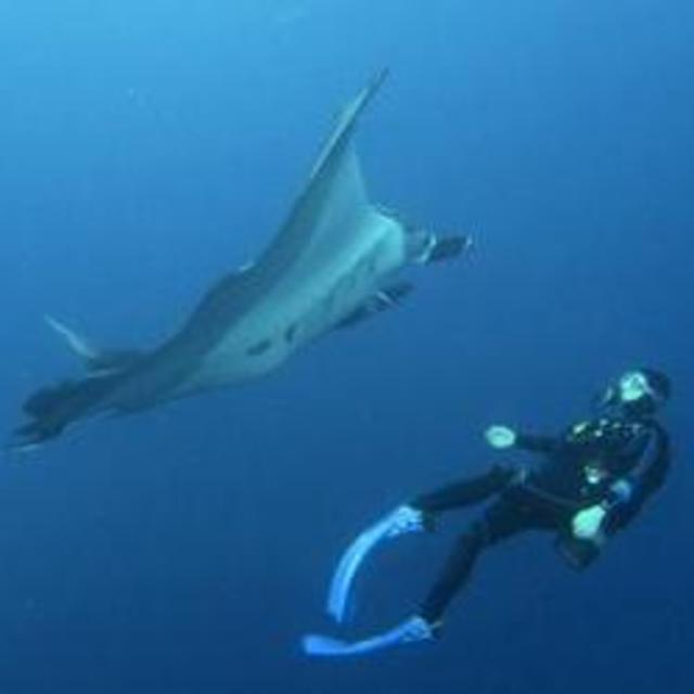 Breathing Underwater in Tahiti