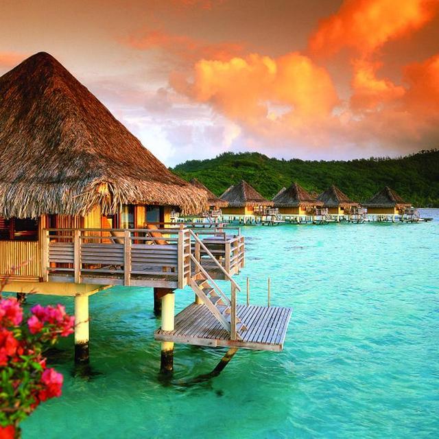 Couples Diving or Snorkeling Adventure in Bora Bora