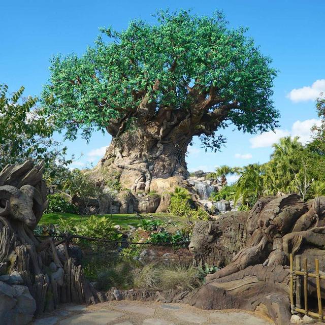 Day at Animal Kingdom