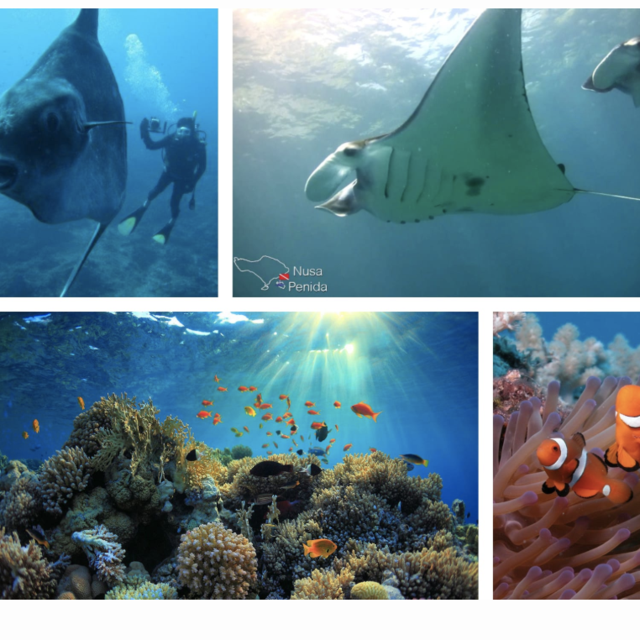 Scuba diving for 2 in Bali