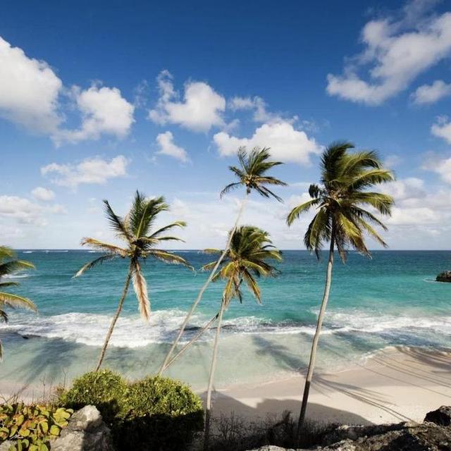 Honeymoon Excursions