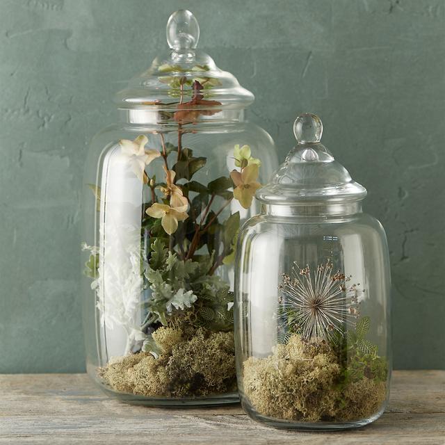 Candy Canister Terrarium