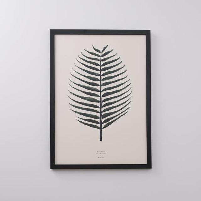 Palm Leaf Print