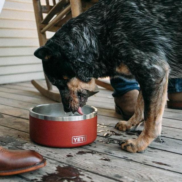 Boomer 8 Dog Bowl - Silver