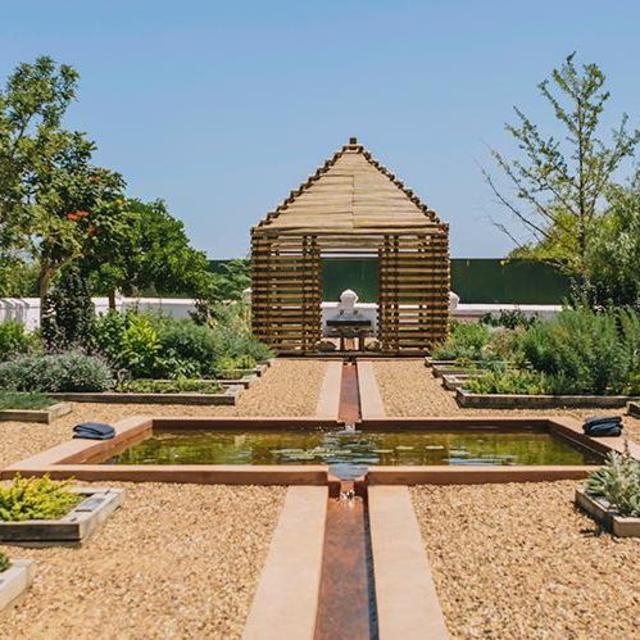 Tea Ceremony - Winelands