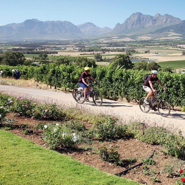 Cycling through Franshhoek - Winelands Tour