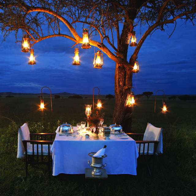 Romantic Bush Dinner for Two