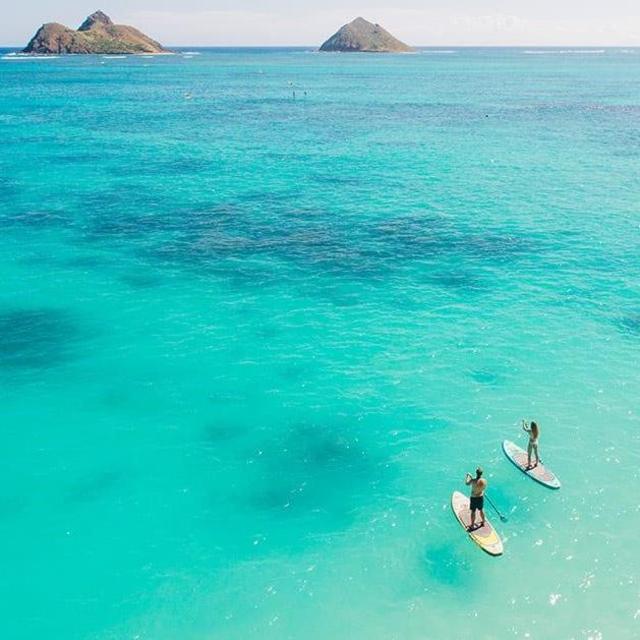 Stand Up Paddle Board Rental
