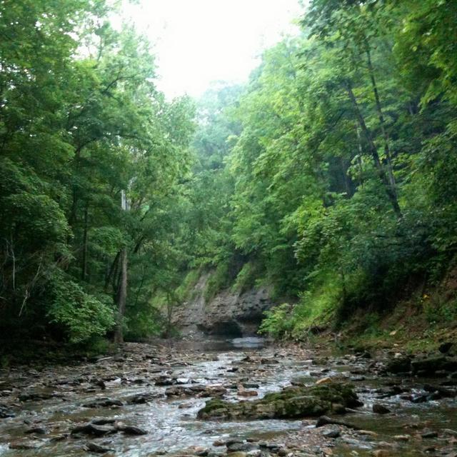 Ecological Homestead Fund