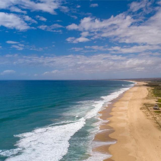 5 Nights in Todos Santos, MX