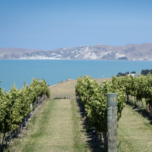 Wine & Lunch Tour in New Zealand