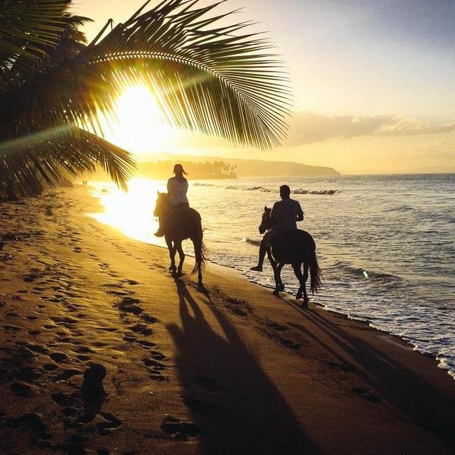 Horseback Beach Ride on Our Honeymoon