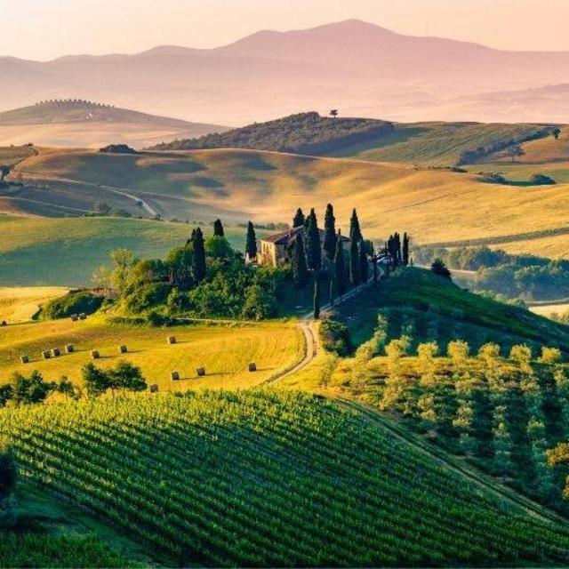 Wine tasting tour