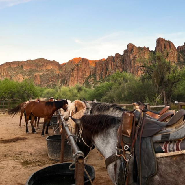 Honeymoon Horseback Riding