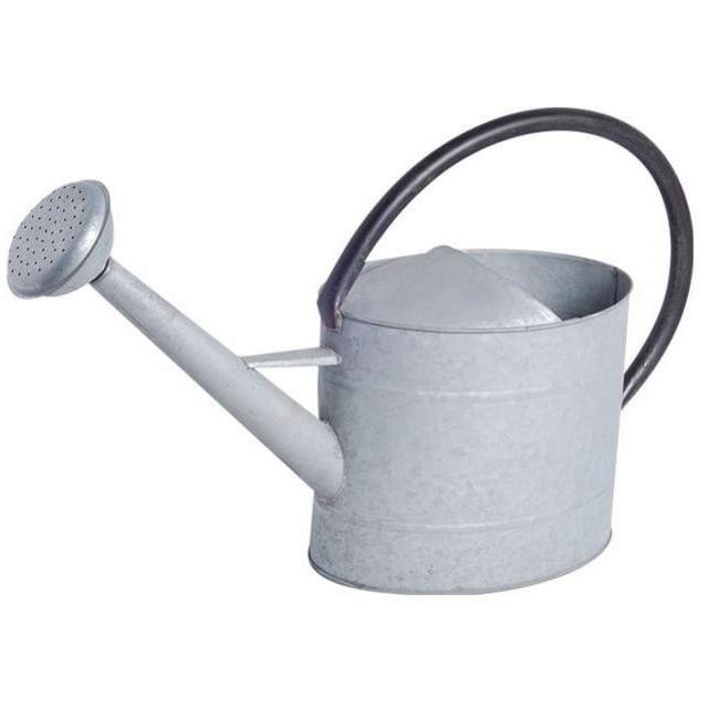 Watering Can, 2.1 gallon