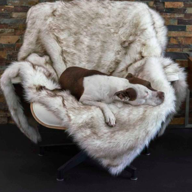 Medium Faux Fur Shag Blanket