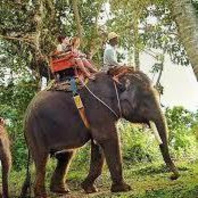 Bali Elephant Tour