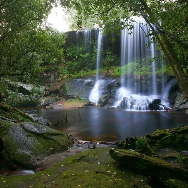Guided Nature Hike