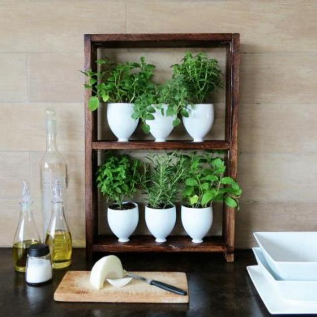 Pots for Kitchen Herb Garden