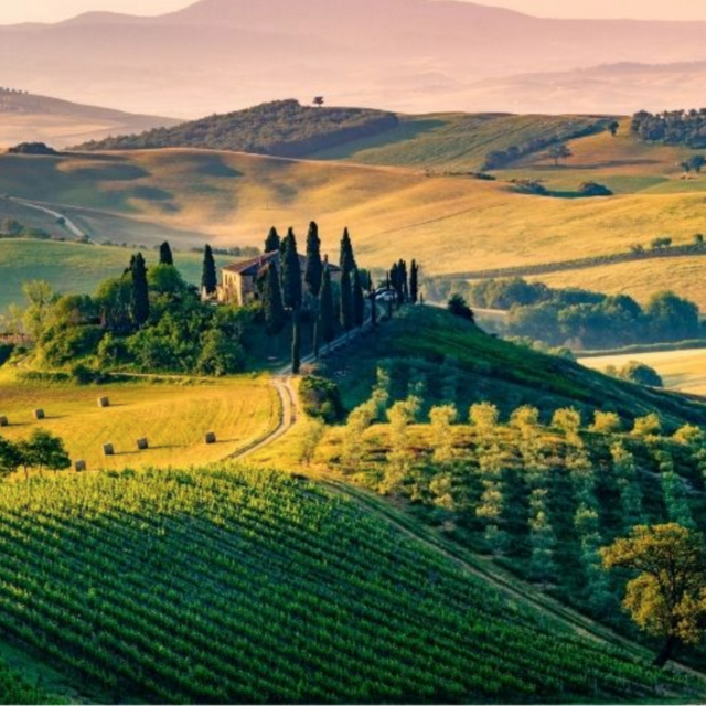 Wine tasting in Tuscany