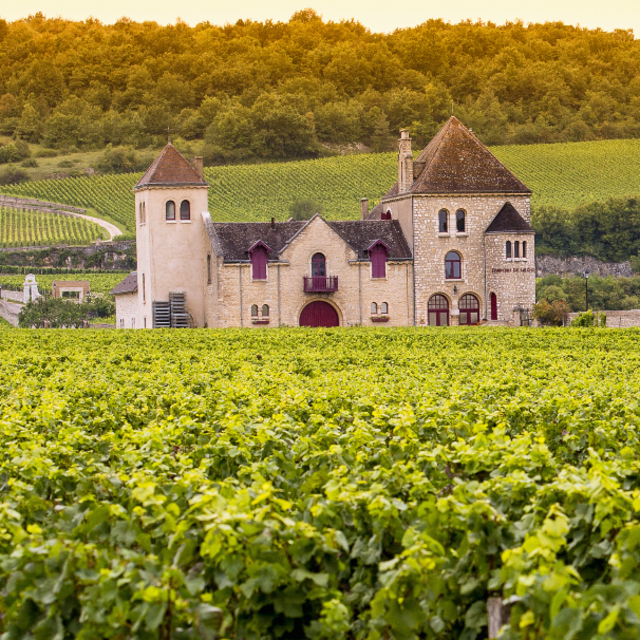 Honeymoon: E-bike & Wine Tour in Cote de Nuits
