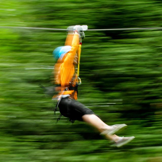 Zip-lining in the Daintree Rainforest