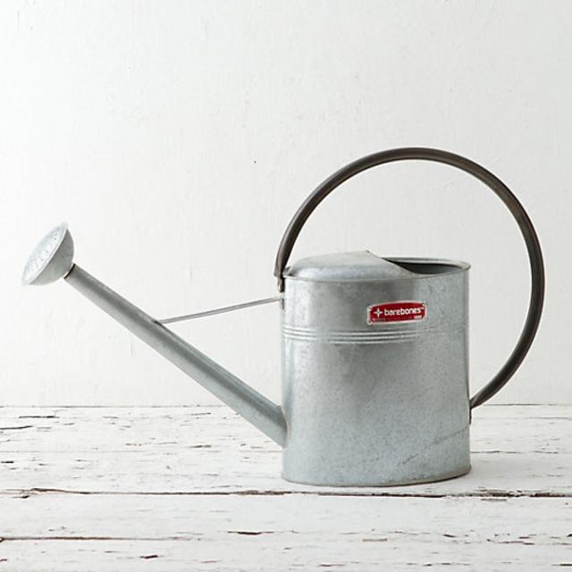Hoop Handle Watering Can