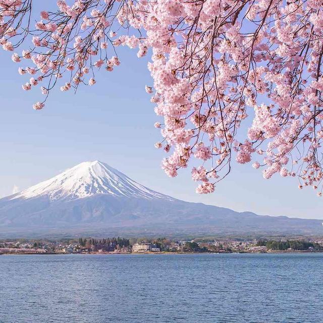 Japan Honeymoon Fund!