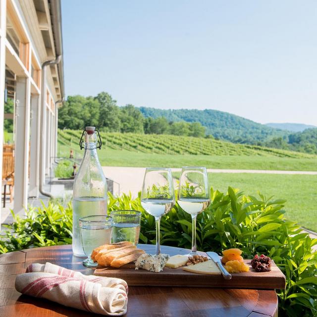 "Mini-Moon" - Wine Tasting and Charcuterie Board at Pippin Hill Vineyard