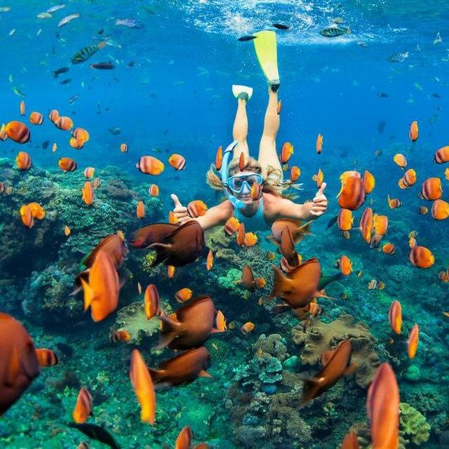 Honeymoon - Sunrise Molokini Snorkeling Tour