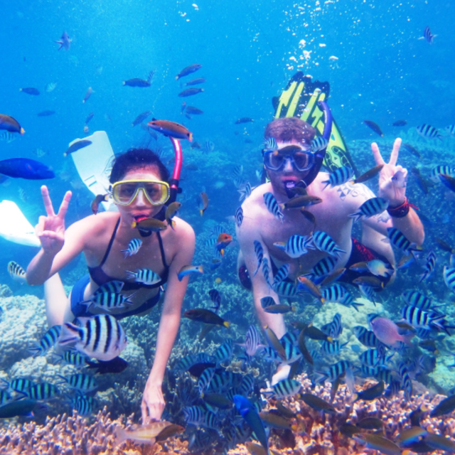 Honeymoon Diving and Snorkeling around Bali beaches