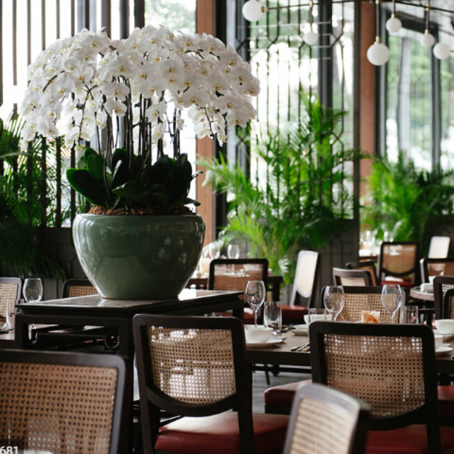 Honeymoon Dinner for two in Singapore