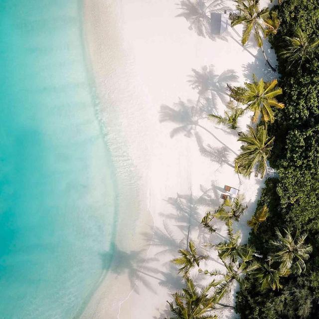 Honeymoon