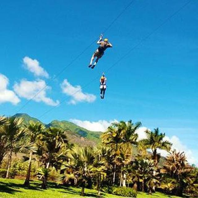 Maui Excursion Fund