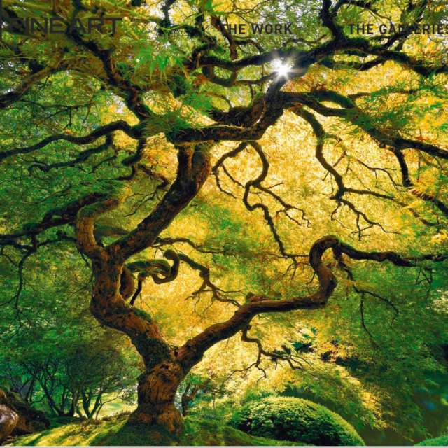 Peter Lik photograph