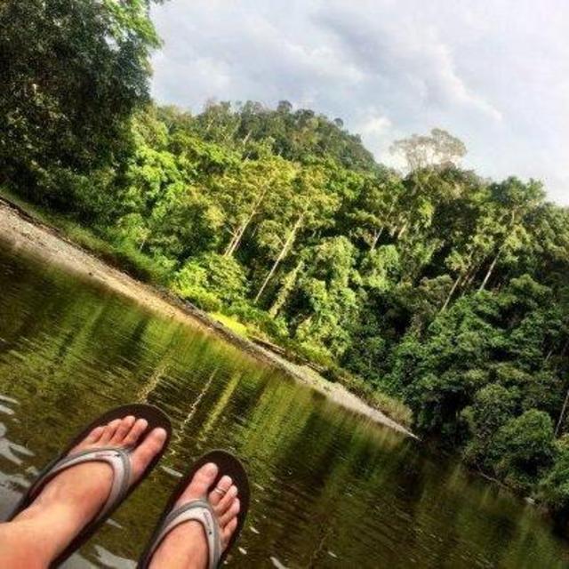 River Tubing in the Danum Valley