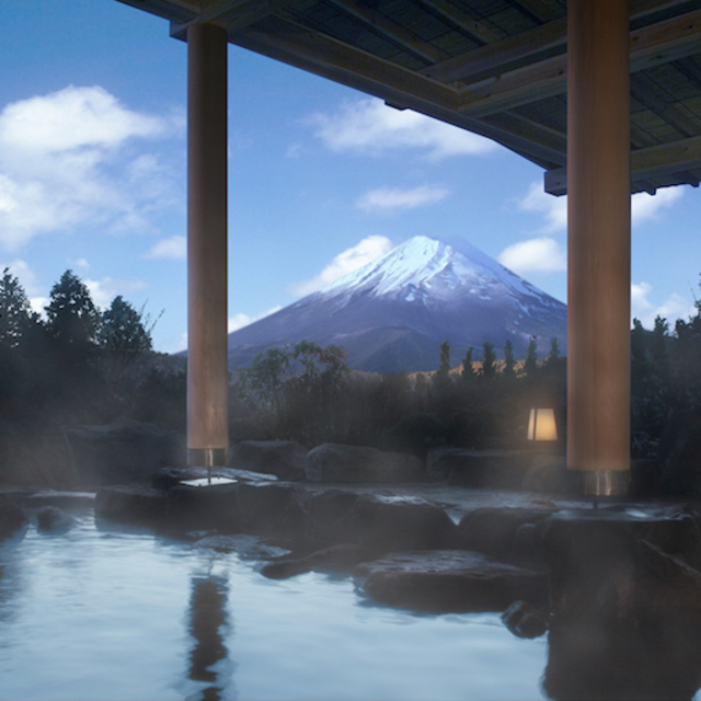 A Sushi and Sake Honeymoon in Japan!