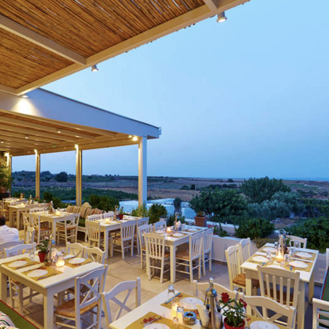 Artemis Winery tasting & tour in Santorini