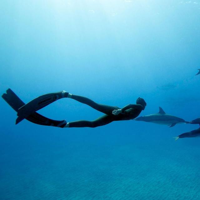 A set of Free Dive Fins (one for G and one for B)