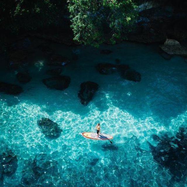 Paddle Board Rentals