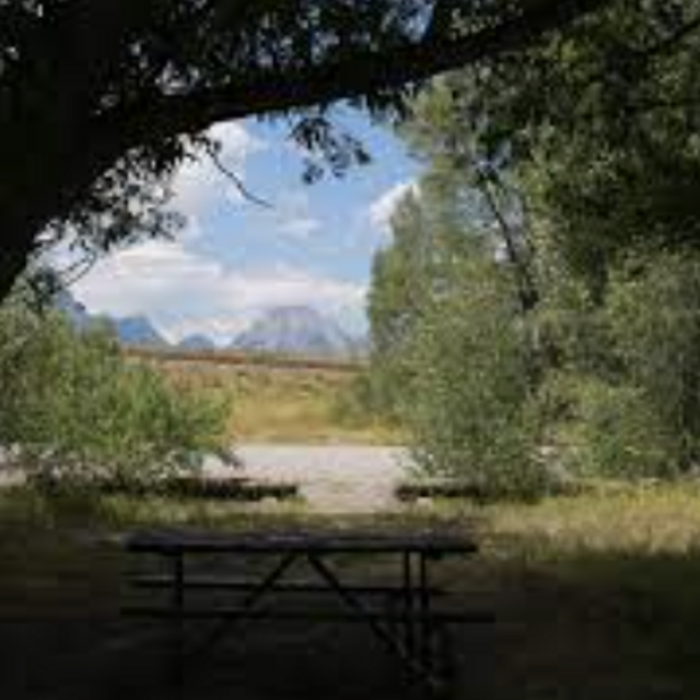 Picnic in the Other Park