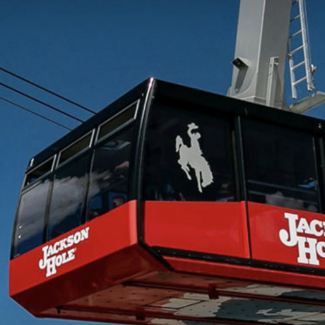 Gondola Rides