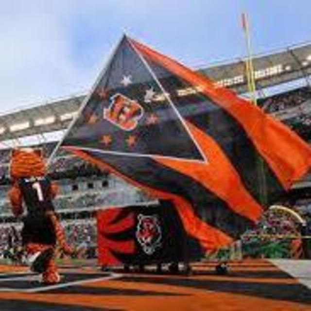 Cincinnati Bengal's Game