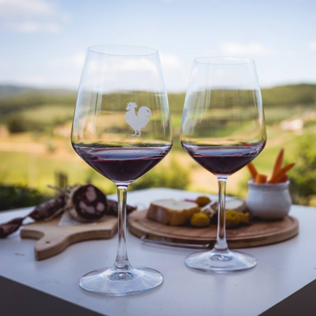 Wine Tasting in Tuscany