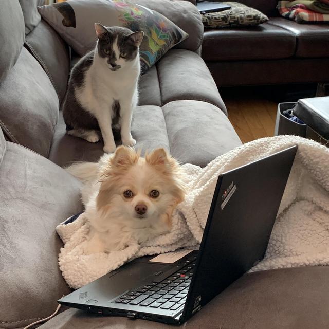 Our PomPom & Francois Fund