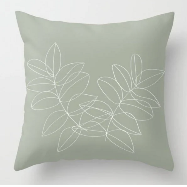 Throw Pillow