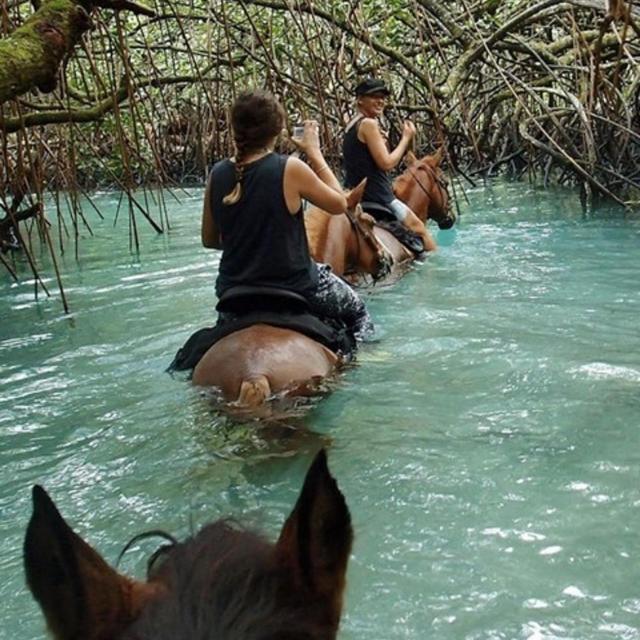 Horseback Riding Through Espiritu Santo