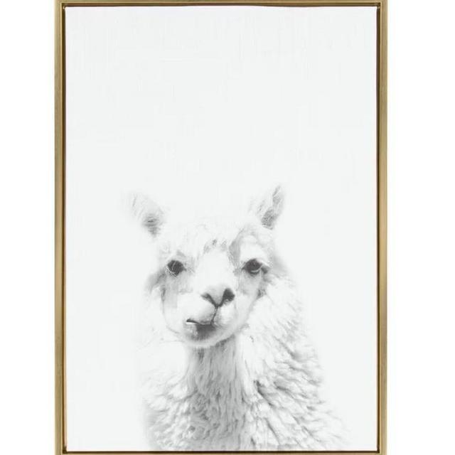 Sylvie Natural Alpaca by Simon Te Tai - Floater Frame Photograph Print on Canvas