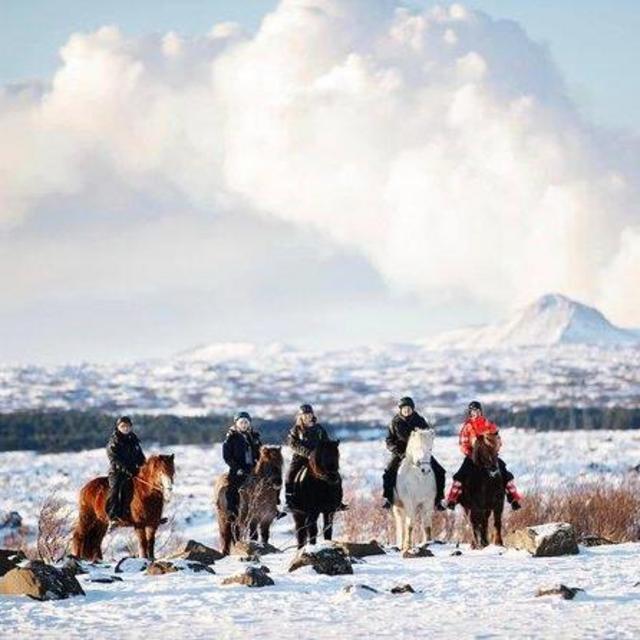 Icelandic Horseback Riding Tour