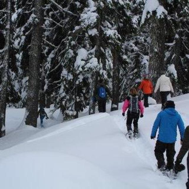 Snowshoeing on Mt. Bachelor